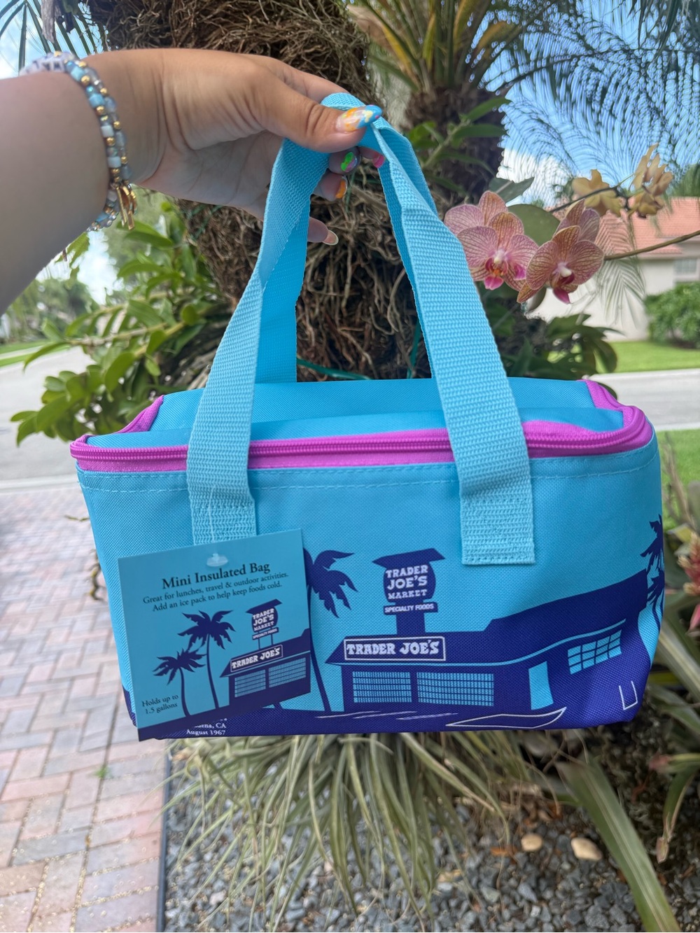 NWT | Trader Joe's Mini Insulated Bag in Turquoise & Pink